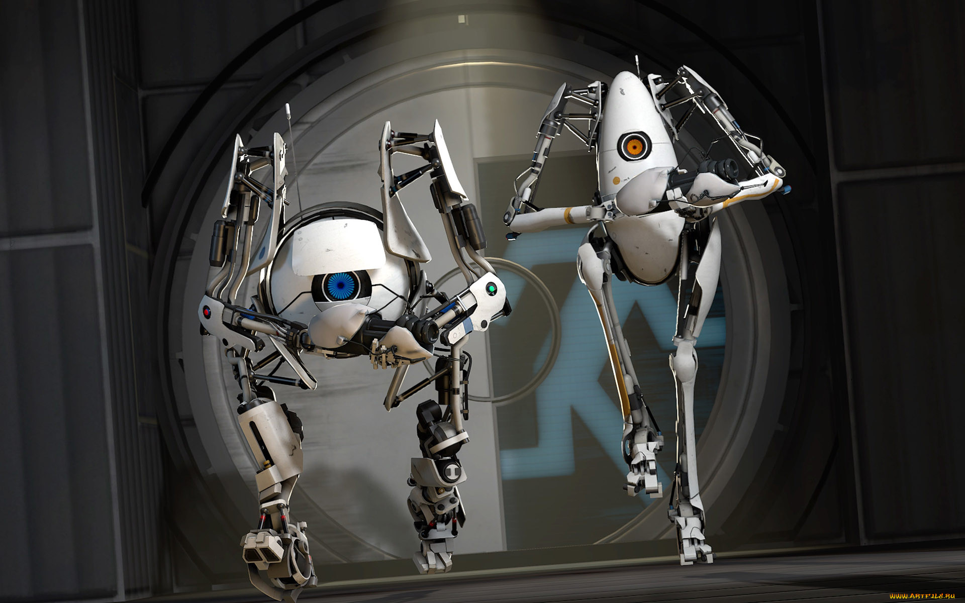 portal, , 